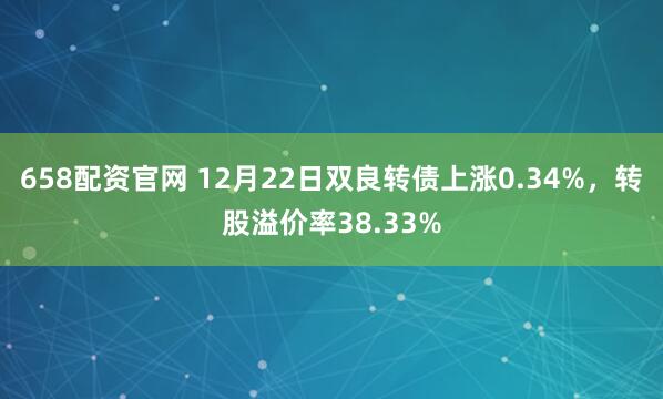 658配资官网 12月22日双良转债上涨0.34%，转股溢价率38.33%