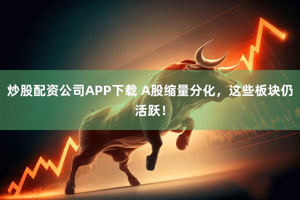 炒股配资公司APP下载 A股缩量分化，这些板块仍活跃！